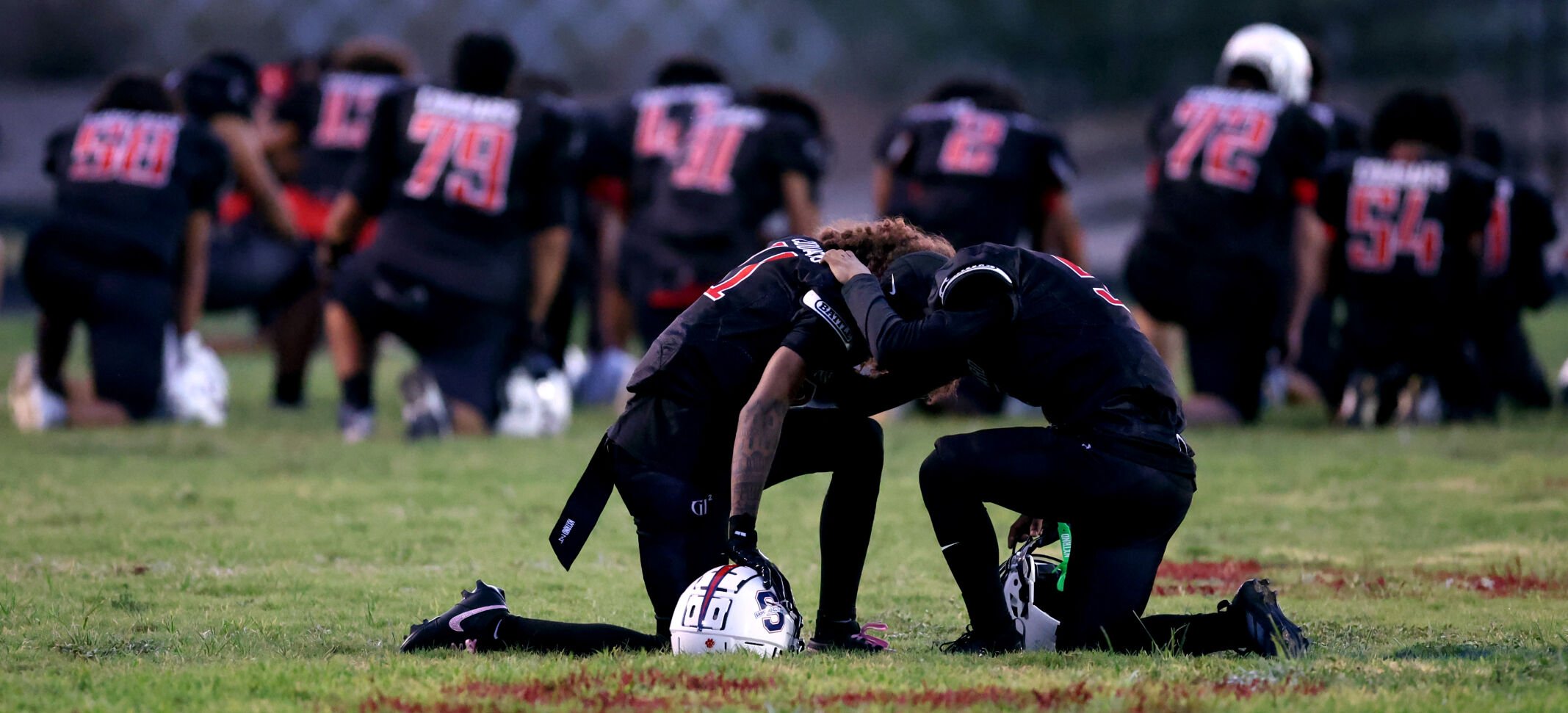 Desert View vs Sahuaro